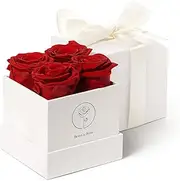 Beverly Rose 4Pcs Red Square Forever Flower Box of Roses Real Eternity Roses Preserved Flowers – Fresh Forever Roses That Last a Year Or More, Preserved Roses In a Box, Flowers For Delivery Prime