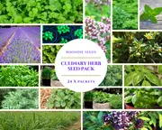 CULINARY HERB PACK 24 x Packets seeds - SPRING edible herb vegetable garden