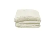Micro Plush Blanket Cream Single