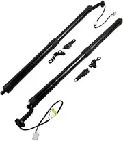 Rear Electric Tailgate Struts 6892079016 6891079016 Compatible With Lexus NX 2015-2017 Left Right Power Liftgate