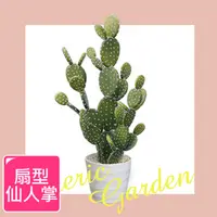 在飛比找PChome24h購物優惠-【Meric Garden】北歐風格居家裝飾高仿真大型景觀植