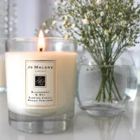 在飛比找蝦皮購物優惠-【香舍】Jo Malone 居室香氛工藝蠟燭系列 杏桃花與蜂