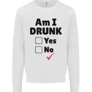 Am I Drunk Funny Beer Alcohol Wine Guiness Kids Sweatshirt Jumper