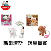在飛比找樂天市場購物網優惠-【日本IWAYA】散步小狗 (瑪爾濟斯/玩具貴賓) 玩具 兒