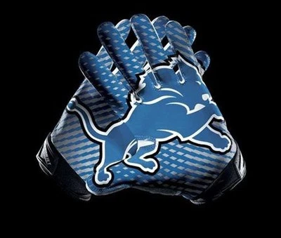 NFL Detroit Lions GLOVES 16" x 24" Framed Canvas Print, New