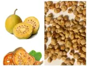 Dried Beal Fruit Seeds Aegle Marmelos Golden Apple Sacred Organic Tree 50 Seeds
