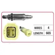 RAE Oxygen Sensor - OX600