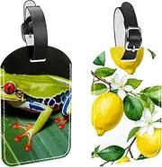 [CWAGFEQZ] 2-Pc Luggage Tags for Suitcases,Travel Tags for Luggage,Lemon Tree Fruit