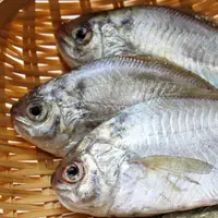 在飛比找蝦皮購物優惠-【上野物產】越南進口 2隻野生肉鯽魚 (75g) 海鮮/魚/