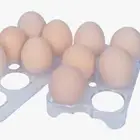 Egg Holder Fridge Plastic Egg Holder Plastic Egg Storage Egg Tray Rack