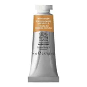 Winsor & Newton 14ml Professional Watercolour Artist Paint Tube Raw Umber S1