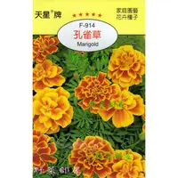 在飛比找蝦皮購物優惠-【萌田種子~花卉種子】Y71 孔雀草Marigold~穗耕種