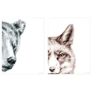 BILD poster, bear and fox, 30x40 cm