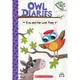 Owl Diaries #8: Eva And The Lost Pony (Cd & Storyplus)(有聲書)/ Branches - Owl Diaries 【三民網路書店】