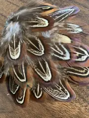 20pcs Natural Real 5cm Pheasant Genuine Feathers DIY Craft Jewellery Fly Tying