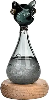 Weather Bottle Table Centerpiece Decorations Glass Weather Station Windstorm Glass Weather Predictor for Decoration Home Birthday Gift, Black, as described