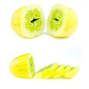 Cucumber - Crystal Apple seeds