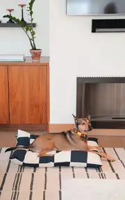 [Approved by Fritz] The Fritz Pet Bed