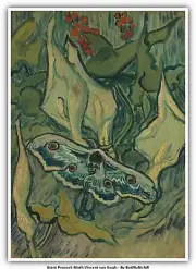 Giant Peacock Moth Vincent van Gogh