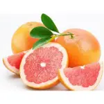 【LS】U.S.A 葡萄柚籽萃取液 (抗菌劑) 葡萄柚子萃取液