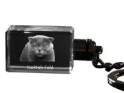 Scottish Fold cube keychain with a cat Art-Dog