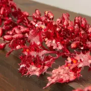 5 Foot Long Sparkling Red Glitter Artificial Holly Leaf Garland