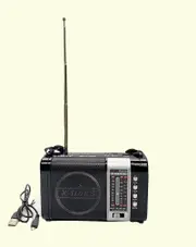 WAXIBA Bluetooth Multifunction 3 Band AM FM USB -TF Player with Tuning Control Black