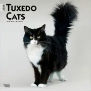 2025 Tuxedo Cats Wall Calendar