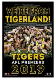 RICHMOND TIGERS 2019 AFL PREMIERS POSTER FRAMED MEMORABILIA DUSTIN MARTIN LYNCH