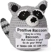 Calkkrer Handmade Positive Raccoon, Pocket Hug Lucky Charm, Courage Gift, Cheer Up and Get Well Women, Friends