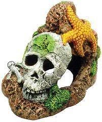 Skull With Starfish Aquarium Ornament Null Null