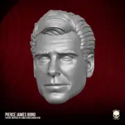 James Bond 007 Pierce Brosnan version custom head for action figures