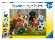 Let's Play Ball Jigsaw Puzzle 200 Pieces