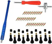43pcs Valve Stem Puller Installer Tool Tire Valve Stem Tool Puller and Installer Kit Single Head Valve Core Remover and Slotted-Head Valve Cap Double Head Tire Valve Core Remover Installer Tool