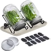 Germination Kit Sprouts - Sprouts Wide-Mouth Jar | Brussels Sprouts Growing Kit, Germination Kit with Tray, Stainless Steel Stand, Beginner Seedling Jar with Germination Kit Non Skid