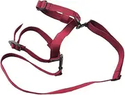 Picnic Blanket Yoga Mat Straps Elastic Polyester Lightweight Portable for Travel