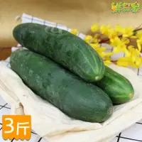 在飛比找松果購物優惠-鮮採家 台灣特級鮮脆胡瓜 大黃瓜3台斤 (6.9折)