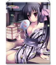 y3 Tapestry Kisaragi Gold Star A3 Fujimaru Sagapla Shop Limited Yukata Ver.