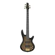 Ibanez GSR205PC TPB