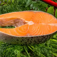 在飛比找鮮拾優惠-【鮮綠生活】 (免運組)超厚切智利鮭魚切片380克共12片