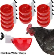 6/10PCS Drinking Bowl Waterer Poultry Automatic Chicken Water Cup Feeder Drinker