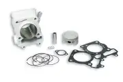 MALOSSI ALUMINIUM CYLINDER DIAM.61 PIN DIAM.14 H2O 4-STROKE FOR PANTHEON 150 IE