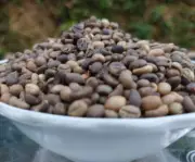 Ceylon Black Coffee Seed Pure Natural Fresh Sun Dried Beans 100% High Quality
