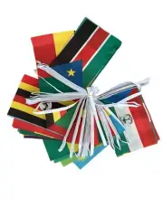 Africa Flag Bunting 54 Polyester Flags of 54 African Nations