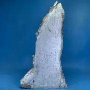 324g Pure Aletai iron meteorite slab less inclusion MC020