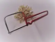 Mini Coral Cutting Saw