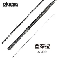 在飛比找momo購物網優惠-【OKUMA】Altera亞泰拉 龍膽石斑竿100號300 