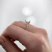 Ring Semi-Mount Pear Shape 7x5mm In 14k White Gold With Diamond Accents (36738)