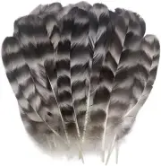 40pcs Natural Pattern Feathers 15-20cm Turkey Feather Pheasant Feathers for Craf