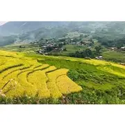 Save 9.99%! From Hanoi: 2 Days Luxury Sapa Trek & Fansipan Peak with Dcar